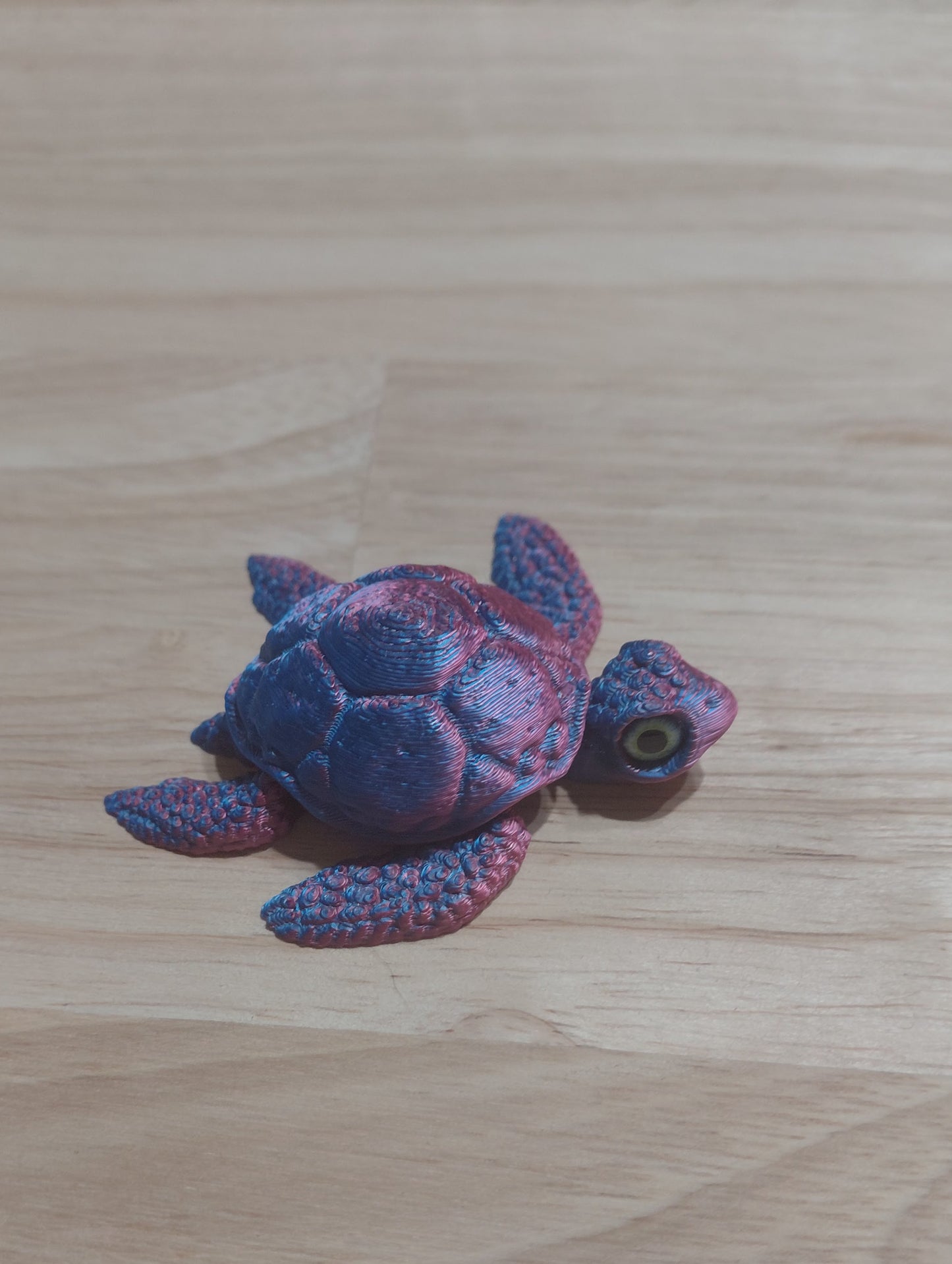Baby Turtle