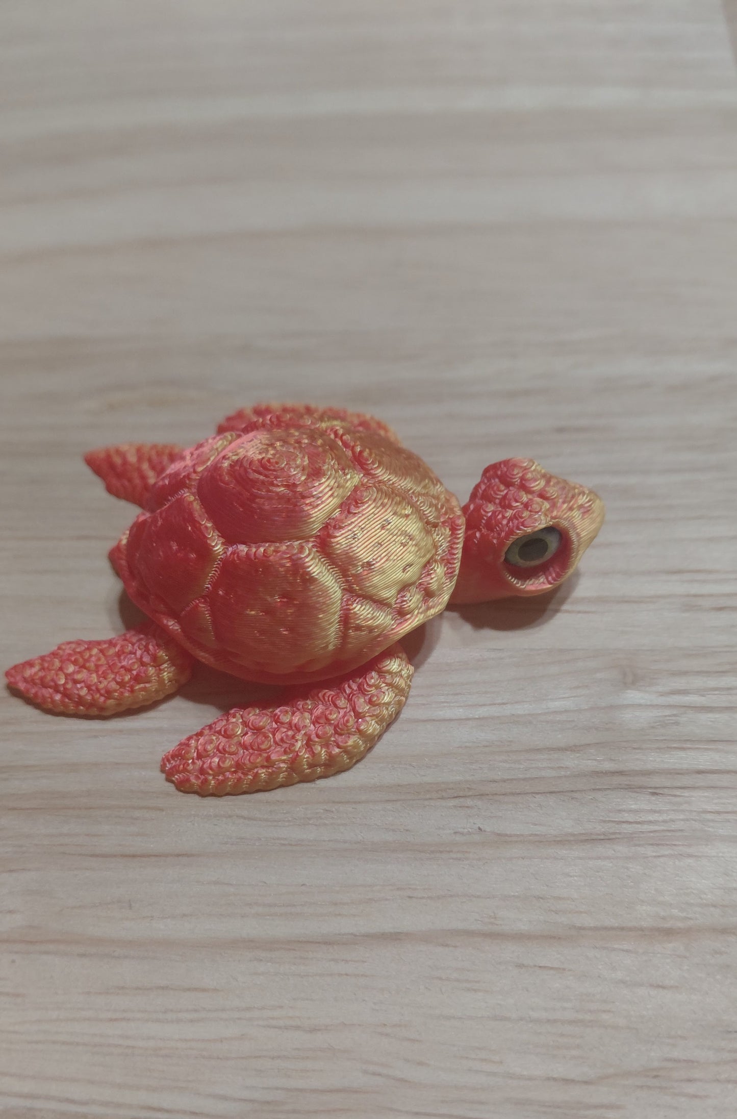 Baby Turtle