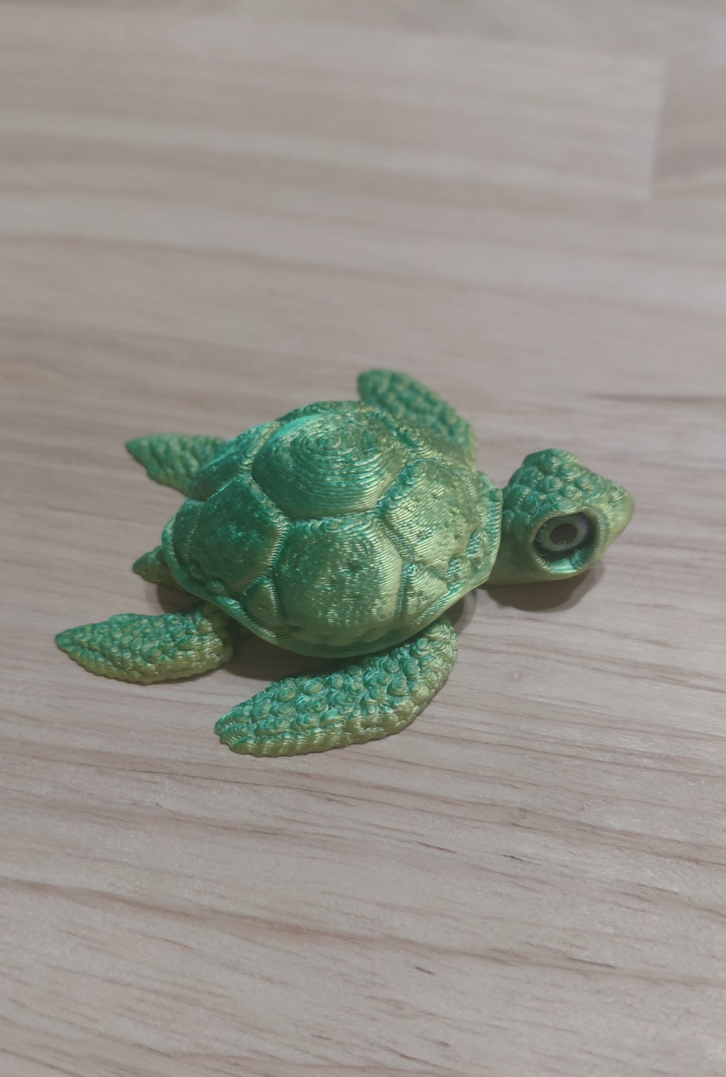 Baby Turtle