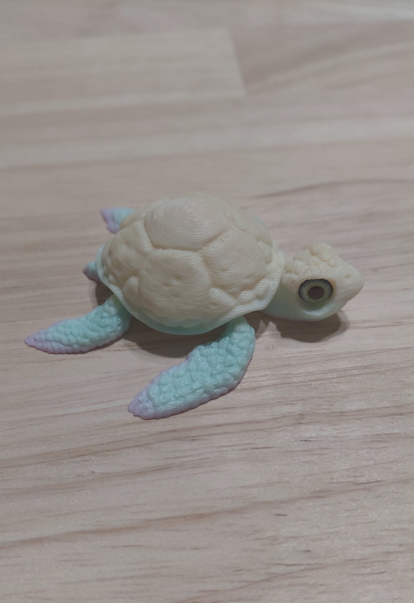 Baby Turtle