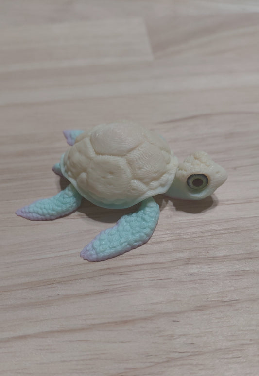 Baby Turtle