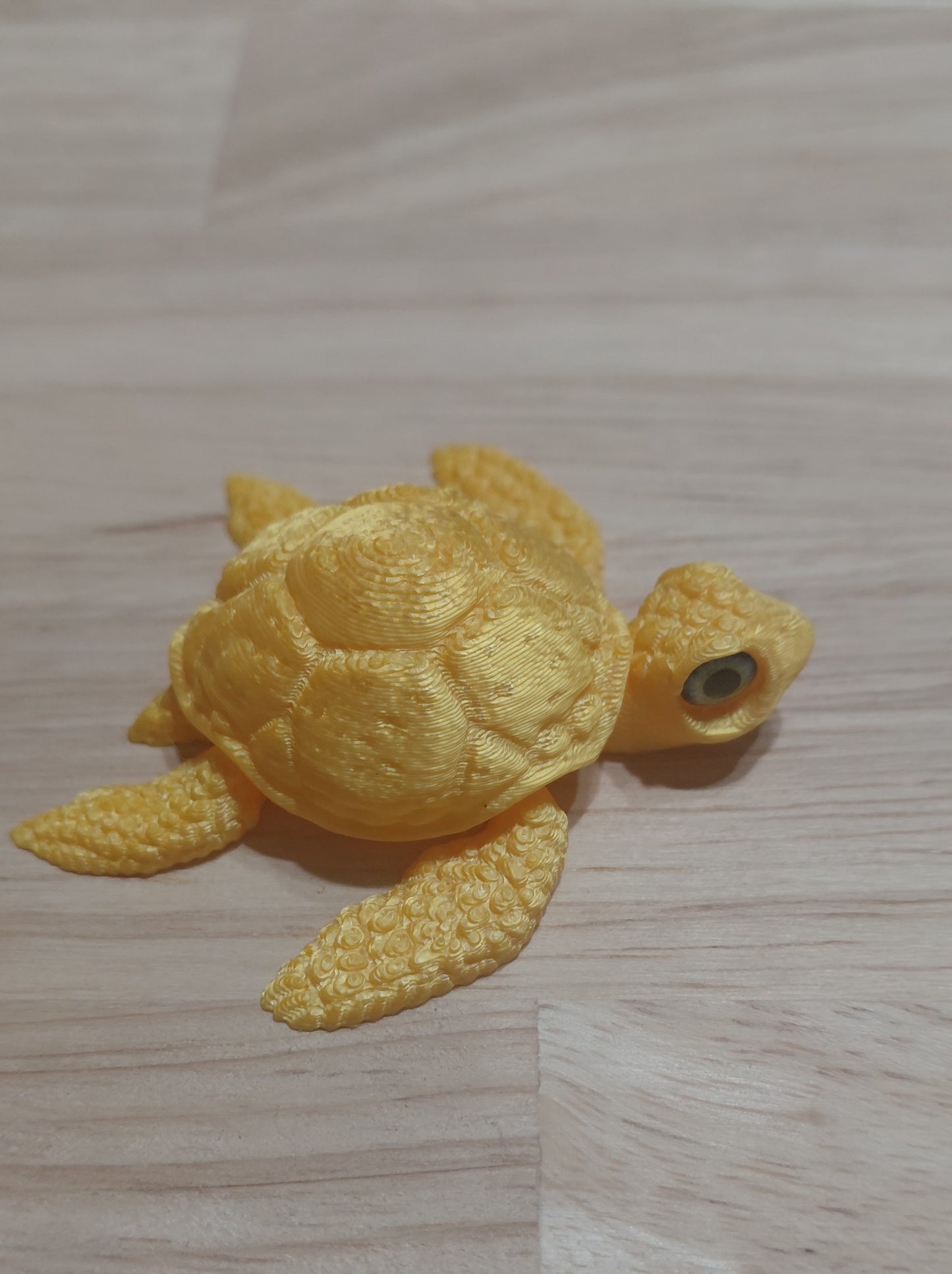 Baby Turtle
