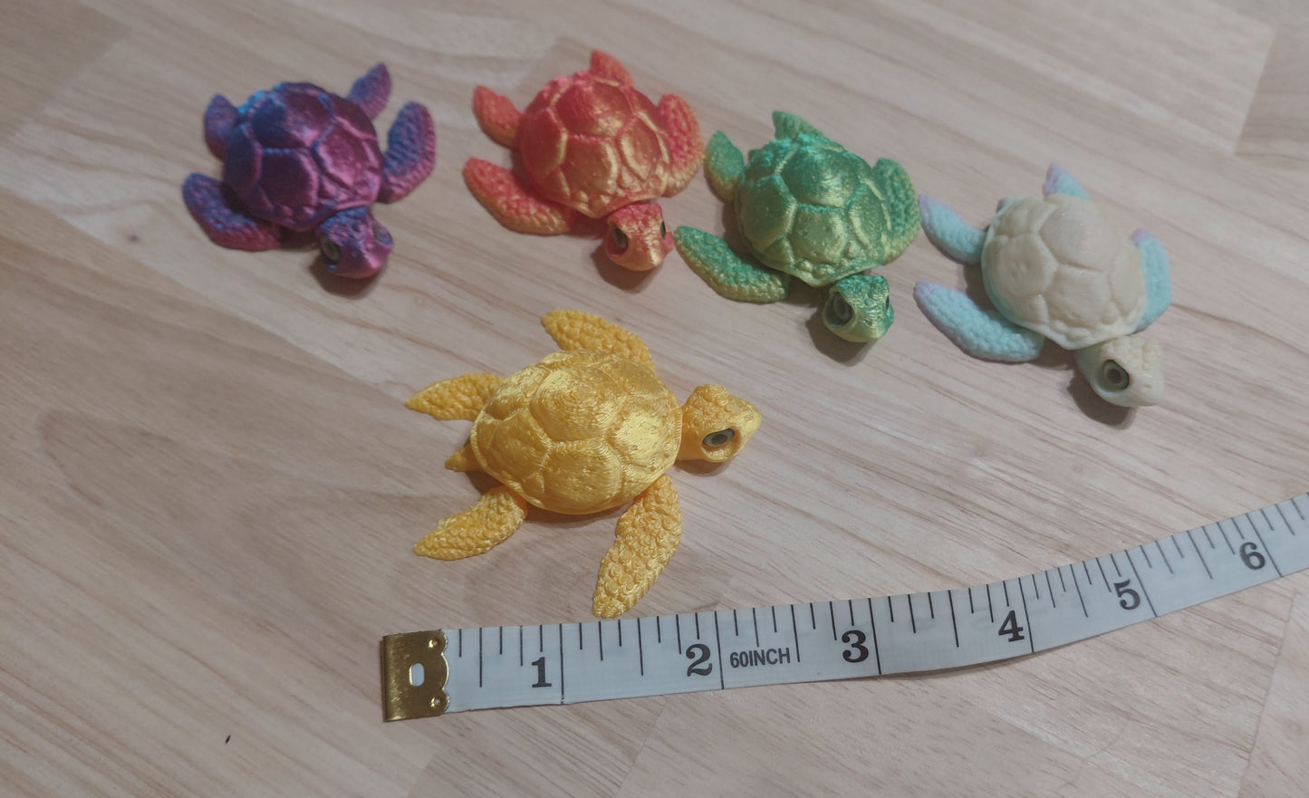 Baby Turtle