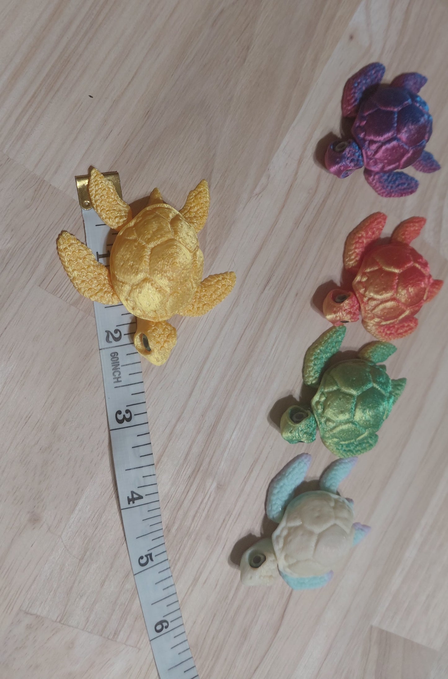 Baby Turtle