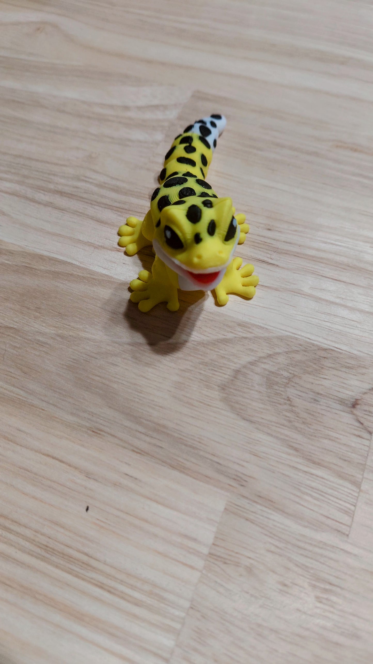 Gecko