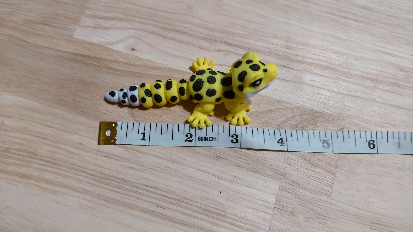 Gecko